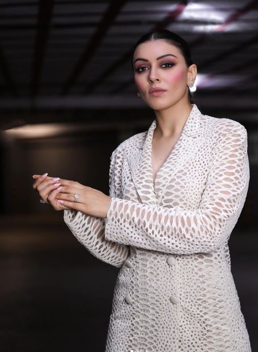 Hansika motwani 5