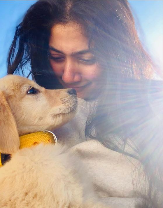 Sai pallavi 