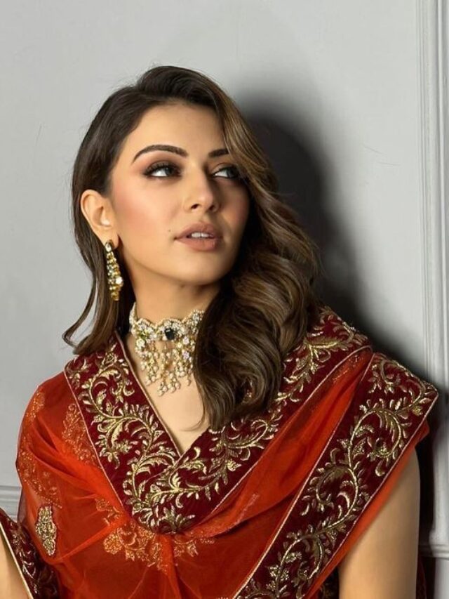 Hansika motwani 4